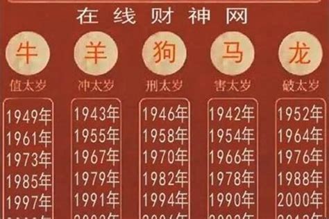 2025年是什么生肖|2025年出生的属什么,2025年是什么生肖